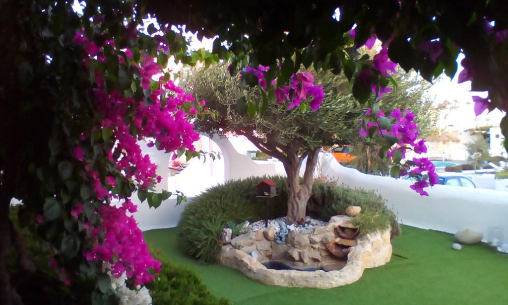 Vila Hidden Heaven Mykonos Town Exteriér fotografie